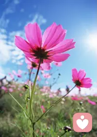 一切都是靈性的存在，
對一切充滿敬畏感恩。配圖