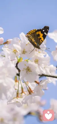 如果你在當下不快樂，
怎么能創造幸福的未來呢？
每一個快樂的當下，
都在創造著無數個幸福和快樂。
未來是你當下狀態的延續。配圖