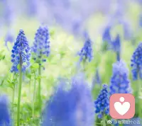 愛孩子是我們的本能。那為什么我們如此愛自己的孩子，還會有那么多問題呢？
愛自己需要智慧，愛別人需要能力。只有我們能照顧好自己，才有能力愛別人。
大多數(shù)父母沒有打開心中的智慧，所以才制造出來這么多的矛盾和沖突。
當父母內心的智慧打開了，才能照顧好自己的孩子，才能培養(yǎng)出棟梁之才。配圖