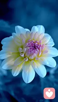 迷茫，不是迷失在人海中，是迷失在自己的頭腦中。
想要更多的錢，更多名，更多利，更多精彩，更多富足。
思想，是一座城堡，一輛車子，一頓美食，一個建構的像夢一樣的世界。
思想是看不見，但其是有型的，迷失卻還不知道。
房子、車子就像人一樣，房子代表我們的樣子，房子里面的裝飾代表我們的情緒，空間即代表著我們的靈性。配圖