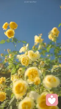 佛度眾生，神愛世人，上天有好生之德。因為每一個生命都是可貴的。
每個人都會犯錯，去修正錯誤而不是執著錯誤。配圖