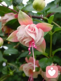 很多東西都是自己頭腦想要的，并不是內心渴望和當下需要的。
頭腦想要的在過去和未來，而我們需要的在當下。
問自己的心，當下需要什么？
跟隨當下需要的就是跟隨內心渴望的。配圖