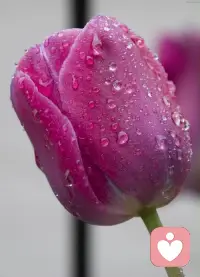 當自己的狀態和自己的夢想不在同一個震動頻率時，是無法實現夢想的。
在這個當下，唯一要做的就是提升能量，提升自己震動頻率，讓自己狀態調整好一點。
當自己狀態和夢想在同一個震動頻率時，就能夠輕松自在地實現自己的夢想。
放松、平靜，感受當下，感恩當下。配圖