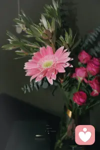 我們都是帶著祝福而來的。所以，要去祝福這個世界越來越好，祝福身邊的人越來越好，祝福人們越來越好。
傷痛會因為祝福，變成慶祝；壓力會因為祝福，變的輕松；挫折、挑戰也會因為祝福而變的積極向上。配圖