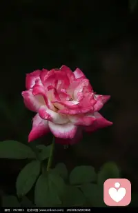 活好每一刻才不辜负自己的年华，
过好生活，不是过“好”生活。配图