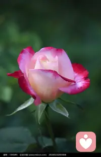 所有世界的创造都被想象过，即将创造的世界也是从想象开始的。打开想象的开关，开始去想象你渴望创造的人生。配图