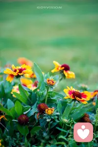 對自己的人生負百分之百的責任的意思是，
你生命中的每一件事，只因為它在你的生命中，
所以都是你的責任。
愛自己是提升自己最好的辦法。
當你提升了自己，
也就同時改善了你的世界。配圖