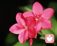 「怎样才能静下来？」

如果我让你跑步十公里、二十公里，你跑完之后会不会冷静下来。其实动态也是一种静，而我们很多时候，接受不了自己躁动的心情、躁动的想法和不安的情绪。

当我们能接受混乱的动，我们就能全然地安静下来。当我们用所谓的“静”去抗拒那个“动”的时候，我们就变成了那个“动”，就被那个“动”带走了。所以接受混乱，安静就发生了。配图