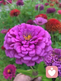 感受是无限的，它可以感受到你思考不到的。
要相信内心的感受，它会带你走向无限的。配图