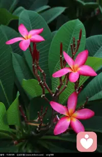 每一個(gè)生命都是可貴的，唯一的。我們承載著無限的愛來到這個(gè)世界，是來享受生命的不是評判生命的。配圖