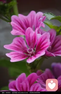 放下占有即是敞开，
放下平穷即是富有，
放下才能得到。
放下改变别人的想法，别人自然改变。配图