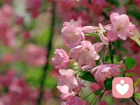 吃東西是逃避自己、壓抑感受的一種方式。
每一個人回避自己感受的方式都不一樣。通過玩游戲、通過抽煙、通過喝酒或打牌，也有人通過逛街，或通過性關(guān)系，這些都是回避自己感受的一種方式。
當(dāng)我們真正去感受自己的感受，其實(shí)外面很多事情都不會發(fā)生。當(dāng)感受到自己，很多東西都不需要了。當(dāng)不去感受自己，就會去外面抓取。配圖