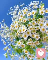 如其所是的存在。
因为，你想帮助别人，可能是把自己的匮乏投射出去了。
相信一切的发生，相信每一个生命的力量！配图