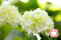 如果你不能尊重外面的发生，
你就会成为受害者。

爱自己也好，恨自己也罢，当你怀着爱、信任、慈悲的心去尊重这些发生时，就消除了再次创造伤害的能量。

否则即使现在你能控制住这个发生，你能逃离这样的发生，但这样类似的事情还会重演，你逃离的只是外在的世界，内心的感受、情绪、想法才是外在世界的原因。

接受自己的当下，才能和谐地和当下共处。
接受外在世界的当下，才能平衡外在的关系。配图