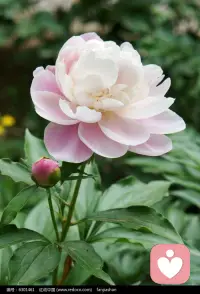 當他是你對象的時候，就是你適合的對象，
當他不是你對象的時候，就不是適合你的對象。
錯過的都是不適合的。
你可能會后悔，但當下是真實的顯現。
頭腦可能會陪你玩游戲，
但是當下不會陪你玩游戲。配圖