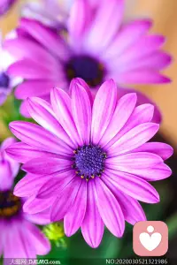 每个人的内心深处都很脆弱。
看似大大咧咧满不在乎的人，也需要别人的看见及肯定、欣赏和赞美。
很多时候我们对待自己、对待别人都很有攻击性，而我们的生命力也会慢慢消失。
我们要小心地对待当下每一个发生，来维护自己的内心和周围人的内心。
如果我们用爱、慈悲对待自己和身边的人，生命力会慢慢回归，内心也会更踏实，人也会更流动。配图