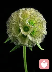 千萬(wàn)不要低估了你所交往的同伴的影響力。
大多數(shù)人都有意識(shí)無(wú)意識(shí)的被同伴塑造成了現(xiàn)在的樣子。
人是環(huán)境的產(chǎn)物。
你的所見、所聞決定你的所思、所想，你的所思、所想，創(chuàng)造了你的人生。
所以，創(chuàng)造正確的空間，選擇滋養(yǎng)你的人和事組成你的人生。配圖