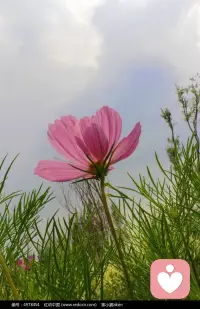 空無之中，萬物俱在。
一切都是靈性的存在。
對自己足夠尊重，對萬事萬物足夠尊重。
世界是你心的投射，
覺察每一個事物，對每一件事充滿尊重和敬畏。
你才能發(fā)生真正的改變。配圖