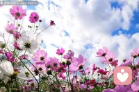 觉察，即是走出自己的无意识，用意识创造自己的人生。
念起即觉，觉之不随。配图