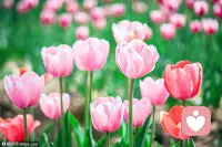 宇宙是圆的，爱出者爱返。配图