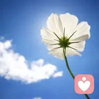 少一些对名的贪求，就放松一些；
少一些对利的贪求，就轻松一些；
少一些对情的贪求，就自在一些；配图