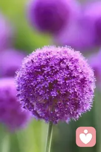 没有理所当然的一天，
要对生命中的每一刻充满敬意。配图