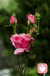 花钱时看看自己在为什么买单。
花钱花出好的感觉，买到好的状态，就能吸引更多的金钱。
把钱花在丰盛上而不是花在匮乏上。配图