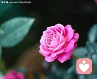 最好的投资就是改变自己的认知。
改变认知就是接受你自己，改变自己的心。
每个人生都是独一无二的，你不可能盗版别人。
去认识、发掘自己的天赋和价值才能真正的绽放。配图