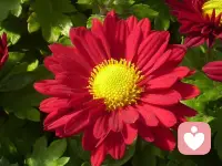 世界是向每一个人敞开的，世界就在那里。
我们什么都错过不了，唯一会错过的就是自己。
去连接自己，去认识自己，去拥有自己。
拥有自己，就拥有了自己的整个世界。配图