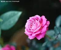 金錢就是一面鏡子，是讓你看見自己，改變自己，調(diào)整自己的。
金錢是愛、責(zé)任、給予、創(chuàng)造、信任、價值的變現(xiàn)。配圖