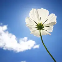 所有的疾病都是從一個想法、情緒開始的。我們每個人都是創造自己狀態的那個人。
疾病在提醒著我們，要看見自己的情緒，釋放自己的壓力，改變自己的生活習慣，轉化內在的憎恨。配圖