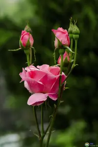 我們?nèi)松泻芏嗟木墶５覀冏畲蟮木壏志褪亲约汉妥约旱木壏帧Ｅ鋱D