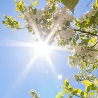 用心生活，不被頭腦和外在世界所主導(dǎo)。
守住自己的這一顆心，才能真正地活出自己，活出幸福的人生。配圖