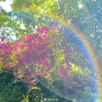 志形成的气是“志气”，觉察头脑里是“志气”还是绵延的“妄想”。志气让人蓬勃，妄想让人无力。
妄想便是自己给自己造的“颠倒妄想”走出妄想妄念，就走出了虚幻的梦境，就来到了当下。
来到了当下，身、心、灵就合一了，合一就是能量。 ​​​配图