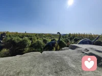 愛，可以改變你想改變的一切。配圖