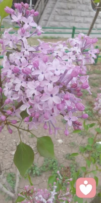 男人與女人的十二種愛的需求
女人需求：關愛、理解、尊重、忠誠、體貼、安全感；
男人需求：信任、接納、欣賞、崇拜、認可、鼓勵。配圖