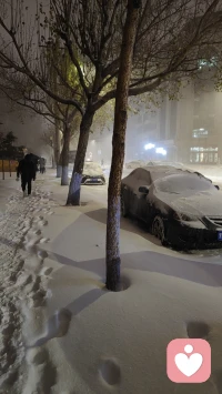 哈爾濱下了入冬以來第一場大雪，雪花?飄飄灑灑地下了一天，被白雪覆蓋的大地雪白純凈，人在雪中游，走著走著就白了頭。?配圖