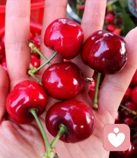 包子有個特別的廣告語“包你滿意,只甜你心?！比碎g煙火氣,揉的不是面,揉的是生活,最撫凡人心,蒸的不是包子,蒸的是幸福!愿我們的生活蒸蒸日上。配圖