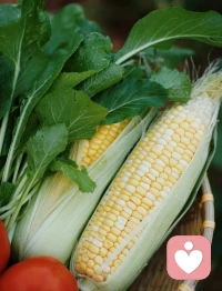 普普通通的一天
后備箱被填滿的快樂
?每次帶回多少種好吃的
?家里就有多少人愛我配圖