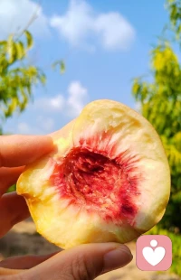 普普通通的一天
后備箱被填滿的快樂
?每次帶回多少種好吃的
?家里就有多少人愛我配圖