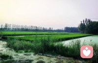 生活雖然普普通通
?但也要樂在其中
?要時常心懷著那一份感動
?
?將煩惱一掃而空
?走過那春夏秋冬
凡事退一步就海闊天空配圖