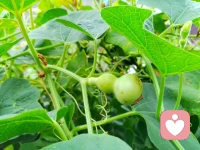 生活雖然普普通通
?但也要樂在其中
?要時常心懷著那一份感動
?
?將煩惱一掃而空
?走過那春夏秋冬
凡事退一步就海闊天空配圖