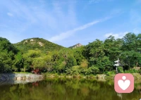 希望我的孩子，幼時少生病，兒時不受欺，少年不闖禍，成人能自立，中年不孤單，老年有人養。
?
?若是平庸之輩，那就承歡膝下；若是出類拔萃，那就天高任其飛！配圖