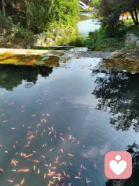 希望我的孩子，幼時少生病，兒時不受欺，少年不闖禍，成人能自立，中年不孤單，老年有人養。
?
?若是平庸之輩，那就承歡膝下；若是出類拔萃，那就天高任其飛！配圖