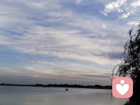 希望我的孩子，幼時少生病，兒時不受欺，少年不闖禍，成人能自立，中年不孤單，老年有人養。
?
?若是平庸之輩，那就承歡膝下；若是出類拔萃，那就天高任其飛！配圖