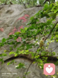 希望我的孩子，幼時少生病，兒時不受欺，少年不闖禍，成人能自立，中年不孤單，老年有人養。
?
?若是平庸之輩，那就承歡膝下；若是出類拔萃，那就天高任其飛！配圖