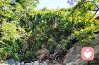 希望我的孩子，幼時少生病，兒時不受欺，少年不闖禍，成人能自立，中年不孤單，老年有人養。
?
?若是平庸之輩，那就承歡膝下；若是出類拔萃，那就天高任其飛！配圖