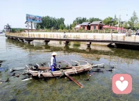 老街古巷，粉墻黛瓦；
南陽(yáng)流水，煙籠人家。

地處微山縣的南陽(yáng)古鎮(zhèn)，坐落在南陽(yáng)湖中。古鎮(zhèn)如琵琶一般，屹立在山水之間。

這里流淌著南陽(yáng)湖水，還有古老的京杭大運(yùn)河穿鎮(zhèn)而活。當(dāng)?shù)鼐用褚浪樱^(guò)著桃花源般的慢生活。
?
??這里沒(méi)有尾氣，沒(méi)有熙熙攘攘的游客，也沒(méi)有太濃的商業(yè)氣息。 在曲折的石板路上漫無(wú)目的地閑逛，一不小心，就深深愛(ài)上了它……
?配圖