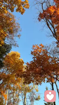 心理學家阿德勒曾說：“我們的煩惱和痛苦，都不是因為事情本身，而是我們強加在這些事情上的觀念。”配圖