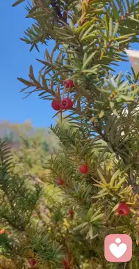 我們對孩子看不慣的地方，往往有兩個原因：一個是來自于我們小時候的經歷，父母對我們的態度，另一個是不懂孩子的成長規律，我們把自己的想法和觀念強加在孩子的身上了。配圖